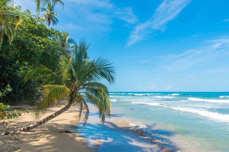 Une plage sauvage au Costa Rica