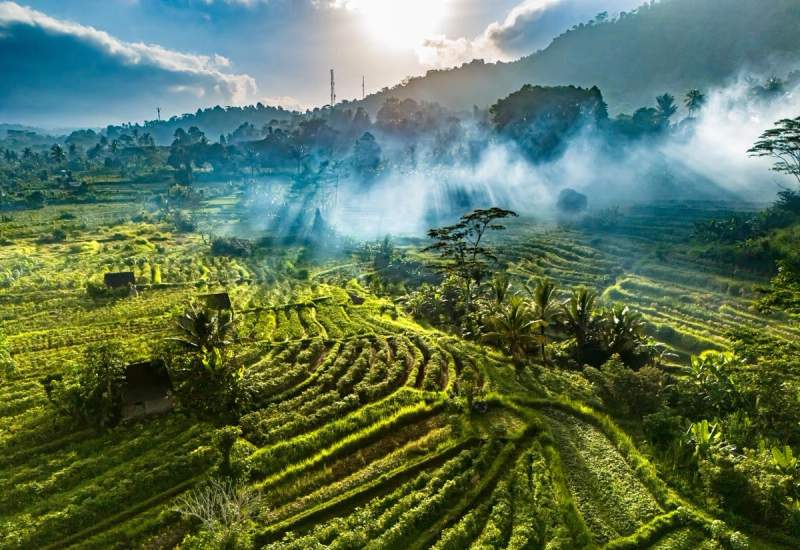 Vue aérienne des rizières verdoyantes de Sidemen à Bali, baignée par la lumière du soleil à travers la brume matinale.