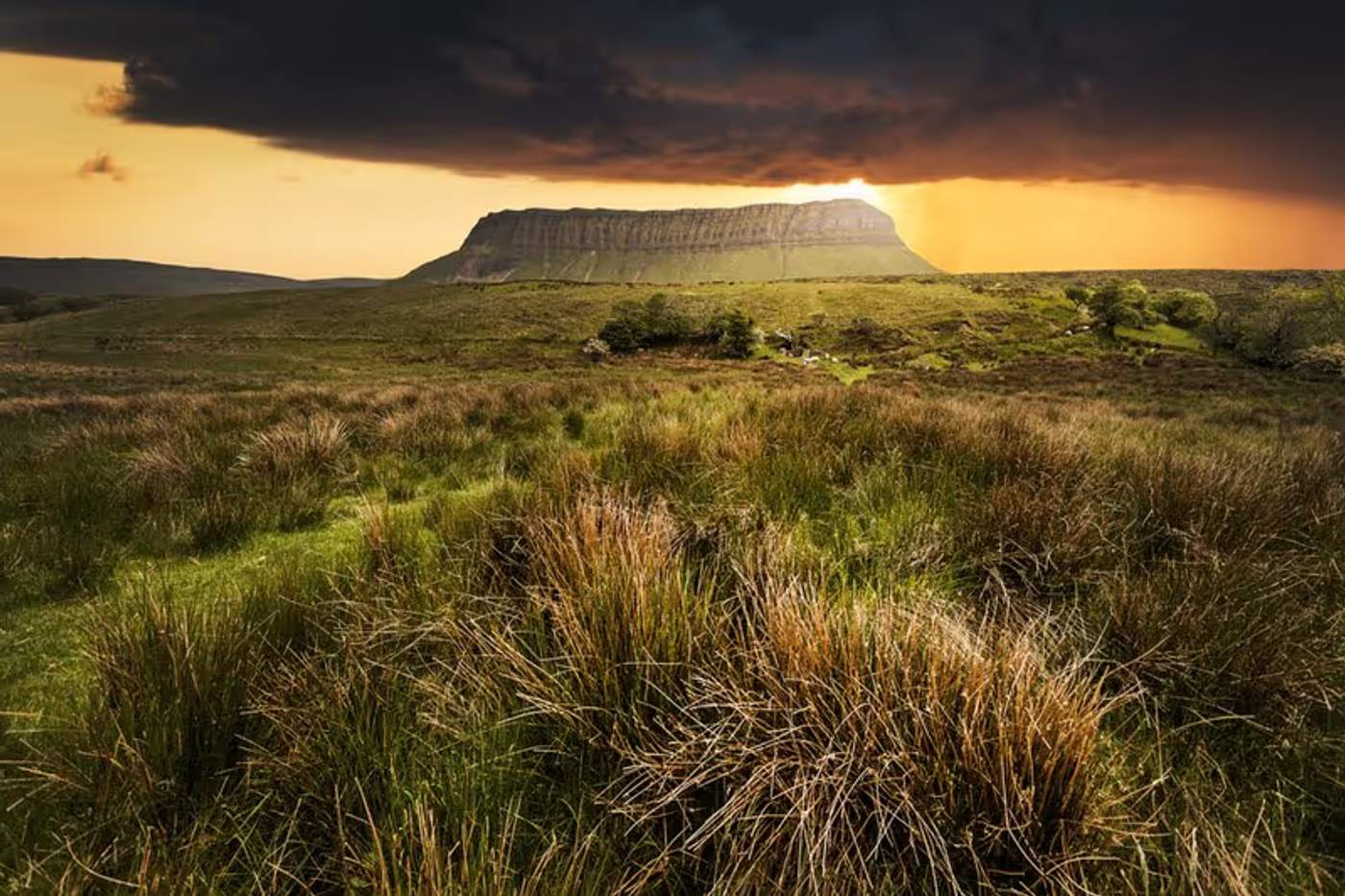 Vue de Benbulbin au coucher du soleil, avec des herbes sauvages au premier plan et un ciel dramatique en arrière-plan.