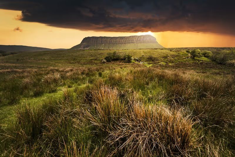 Vue de Benbulbin au coucher du soleil, avec des herbes sauvages au premier plan et un ciel dramatique en arrière-plan.