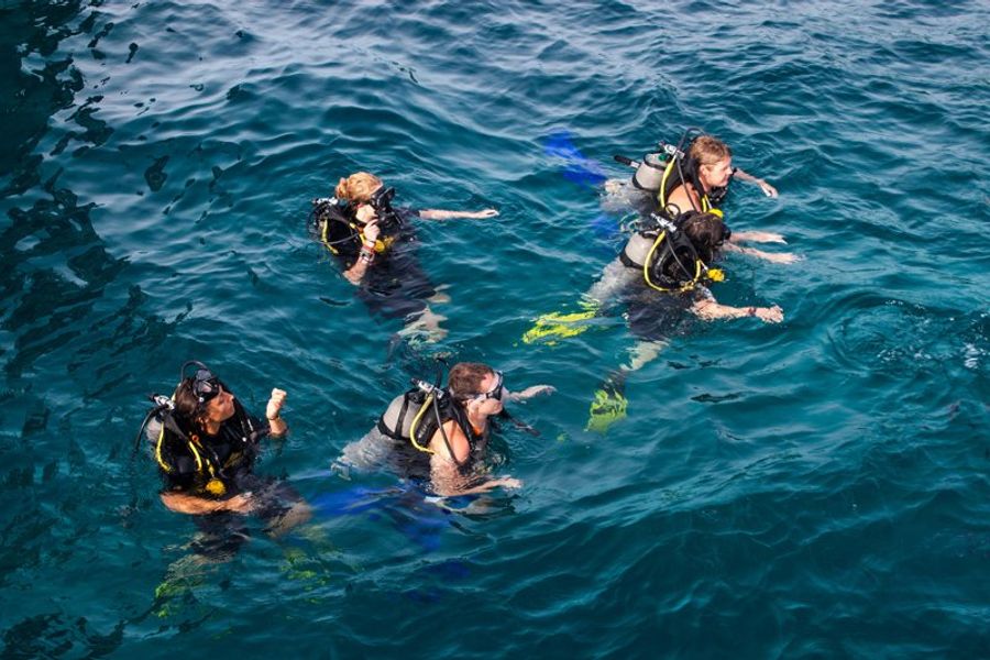 Groupe de plongeurs dans une mer d