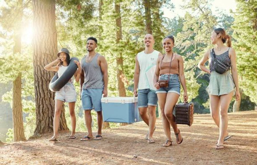 Groupe d’amis marchant en forêt avec une glacière électrique et un panier de pique-nique
