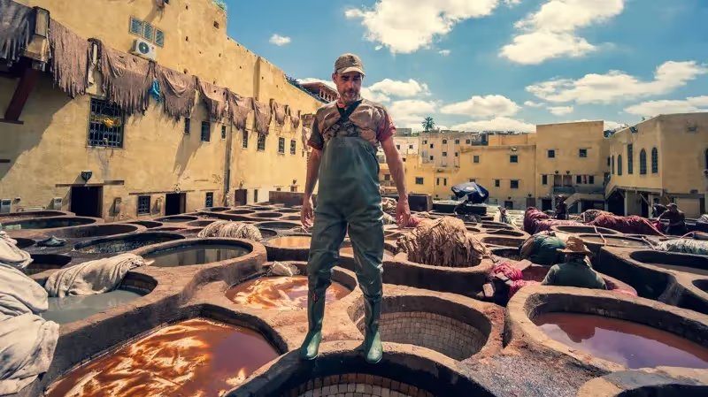 Fès · les tanneries Chouara depuis les terrasses