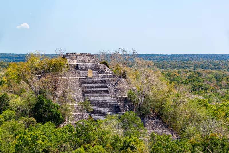 Vue de la pyramide principale à Calakmul, un site archéologique au cœur de la jungle mexicaine.