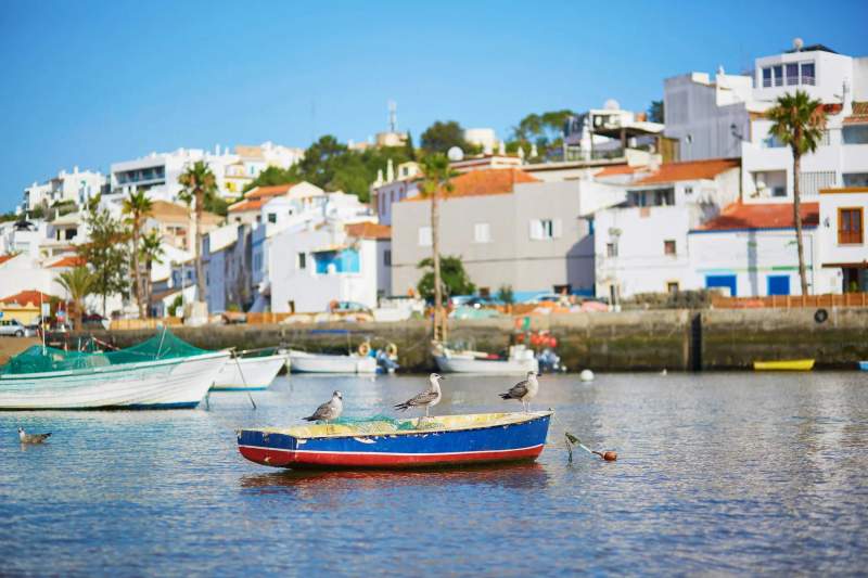 Bateau coloré avec des mouettes sur l'eau à Ferragudo, Portugal, avec des maisons en arrière-plan.