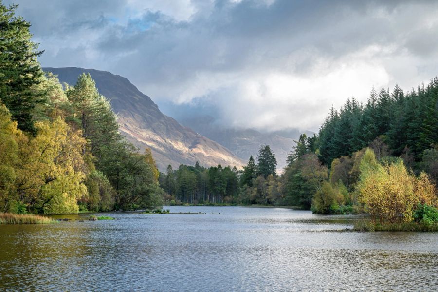 Glencoe Lochan entouré de forêt et de montagnes