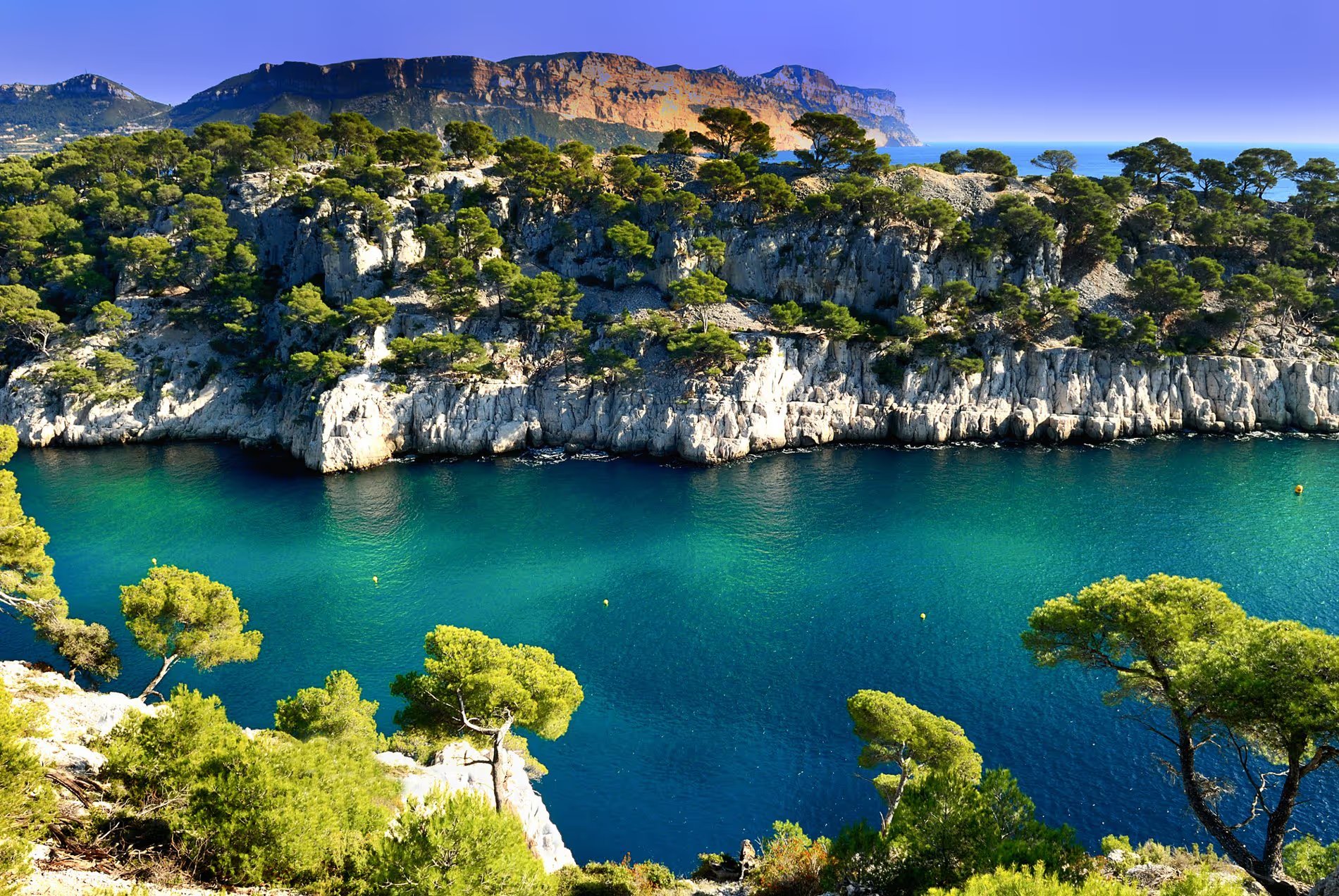 Vue spectaculaire d'une calanque méditerranéenne aux eaux turquoise entourée de falaises rocheuses et de pins, dans le sud de la France.