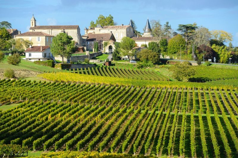 Vignobles en terrasses entourant un village en pierre du sud-ouest de la France, avec église et maisons anciennes.