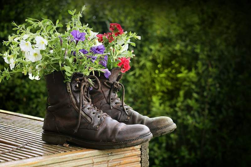 Deux vieilles bottes en cuir marron recyclées en jardinière, garnies de pétunias blancs, violets et rouges, posées sur une surface en bois avec un fond de haie verte