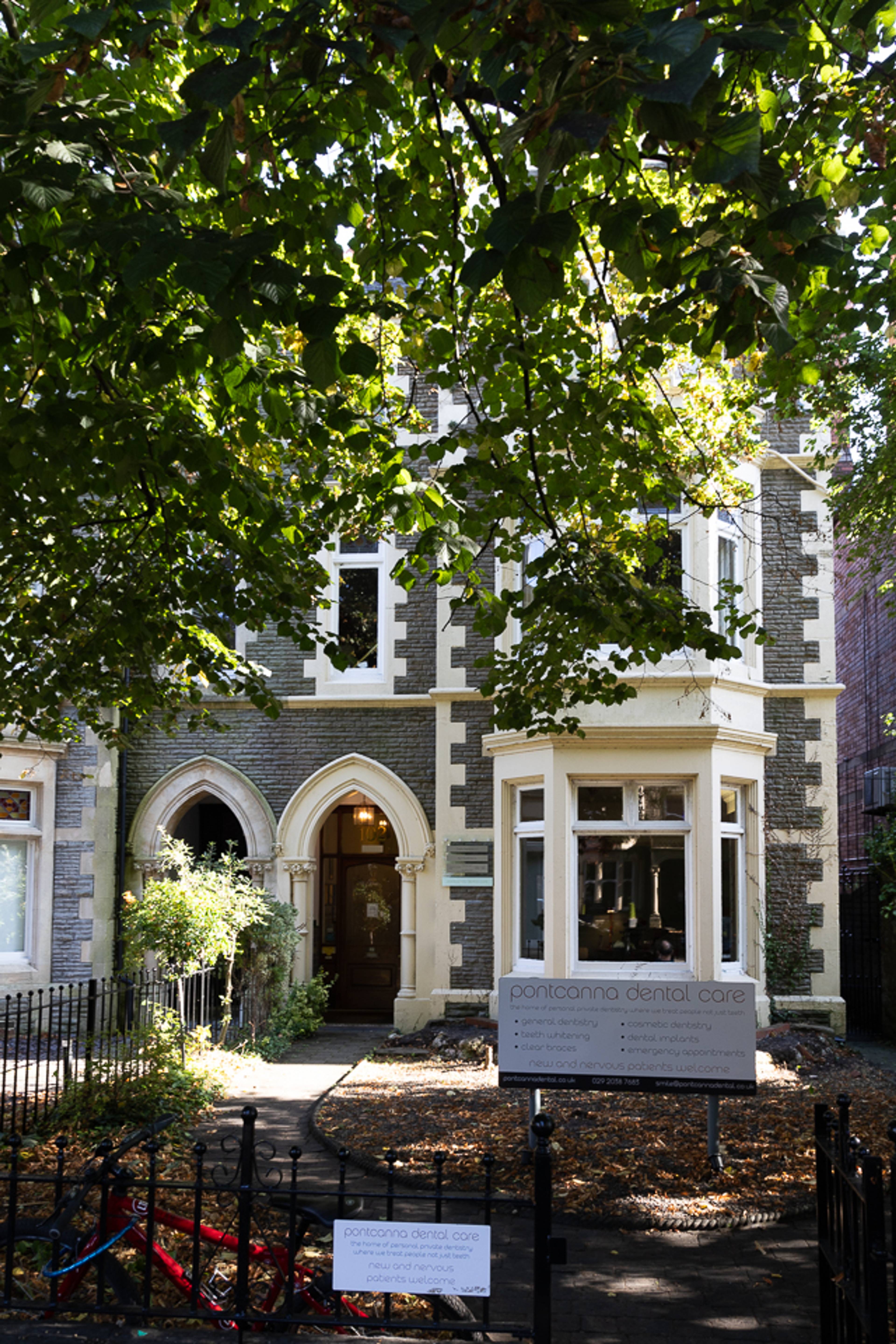 Outside front garden of pontcanna dental practice showing tree overlooking arch doorway during autumn
