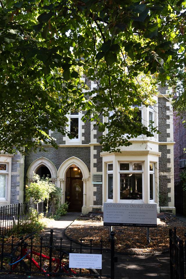 Outside front garden of pontcanna dental practice showing tree overlooking arch doorway during autumn