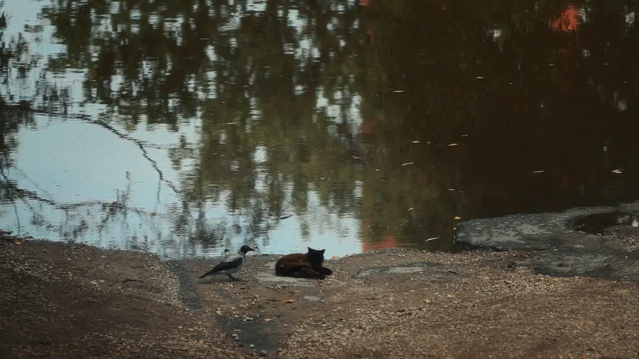 By the Sea — still 1