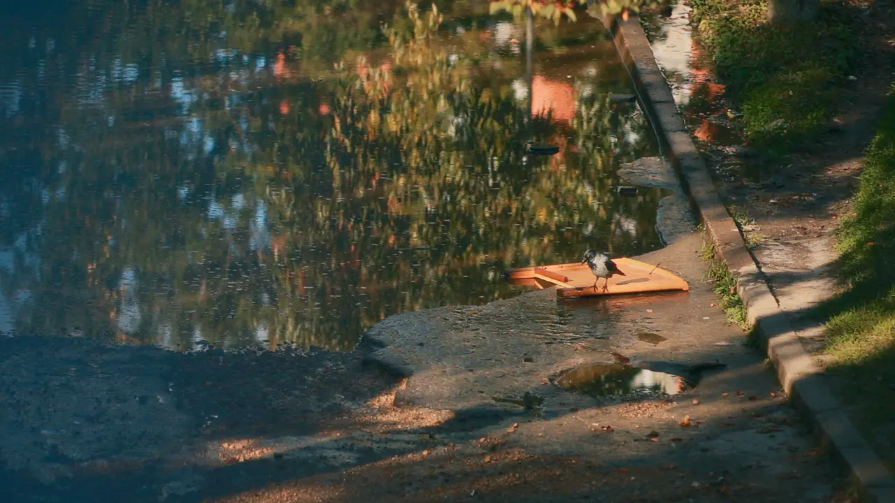 By the Sea — still 7