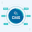 Best CMS & Content Platforms for Website Owners