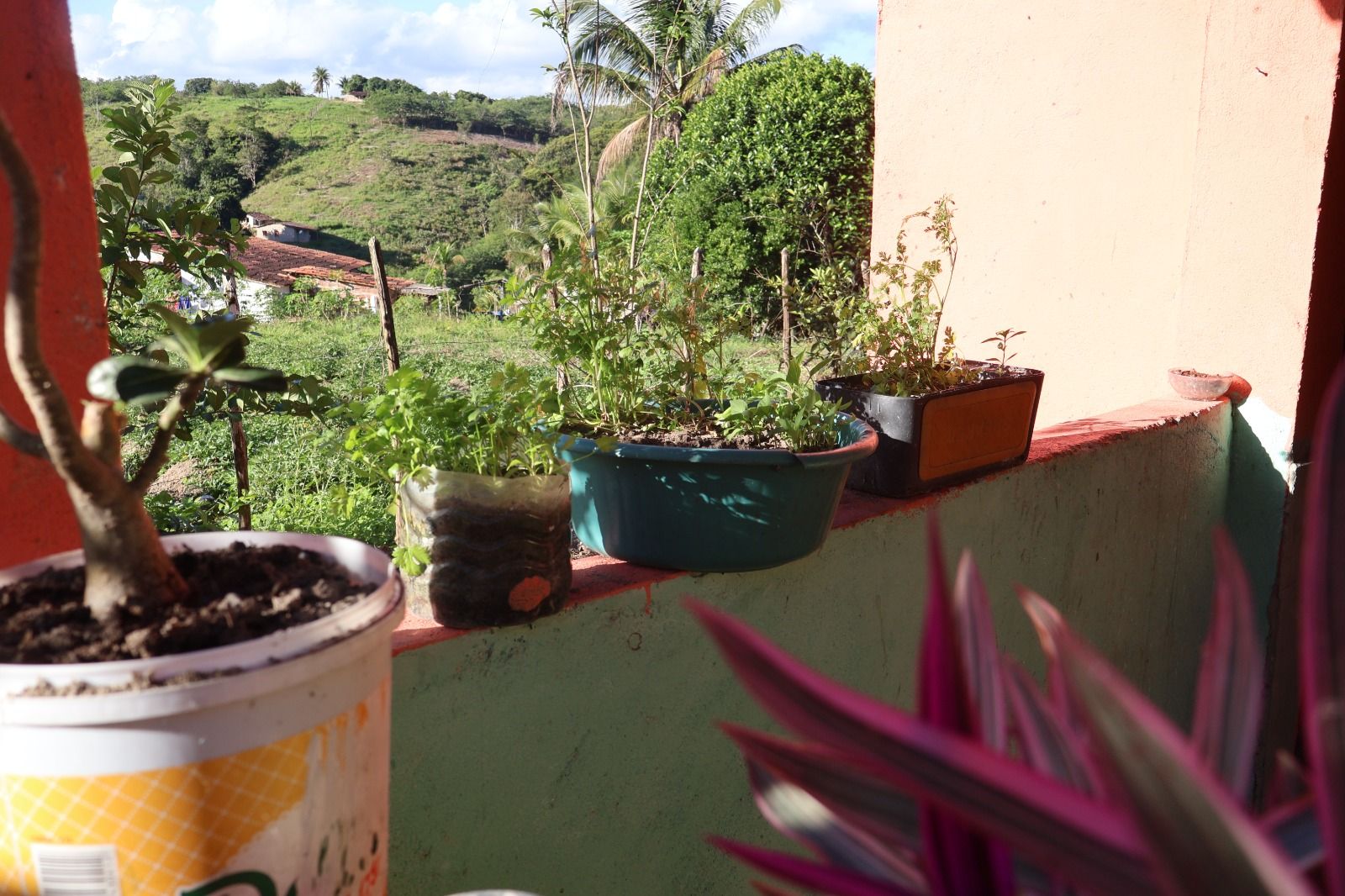Cultivar Saberes Quilombolas — imagem 8