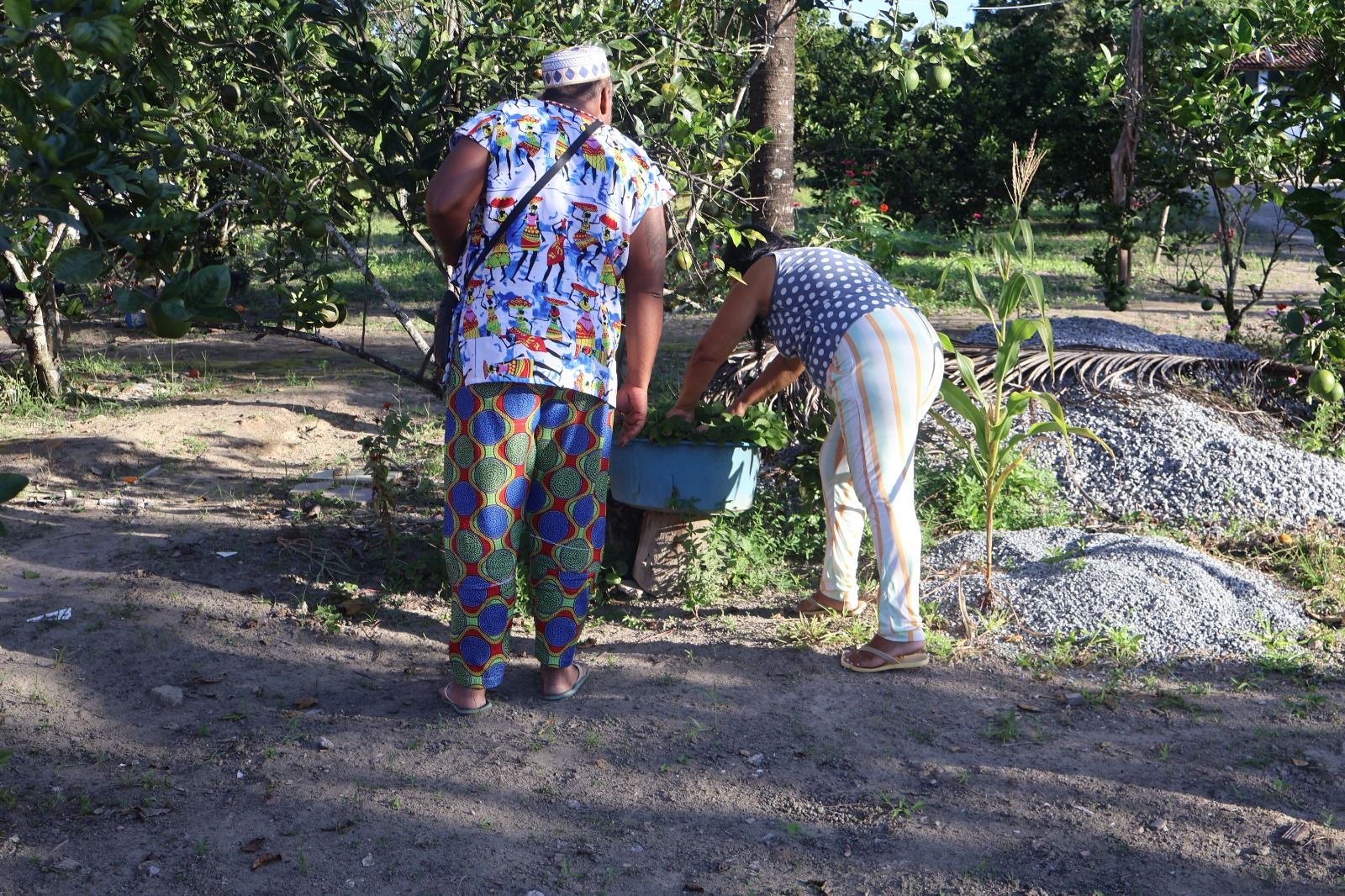 Cultivar Saberes Quilombolas — imagem 10
