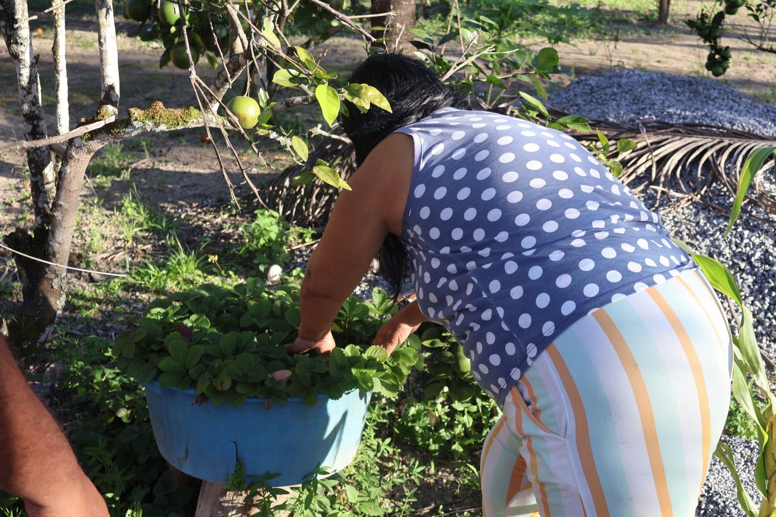 Cultivar Saberes Quilombolas — imagem 11