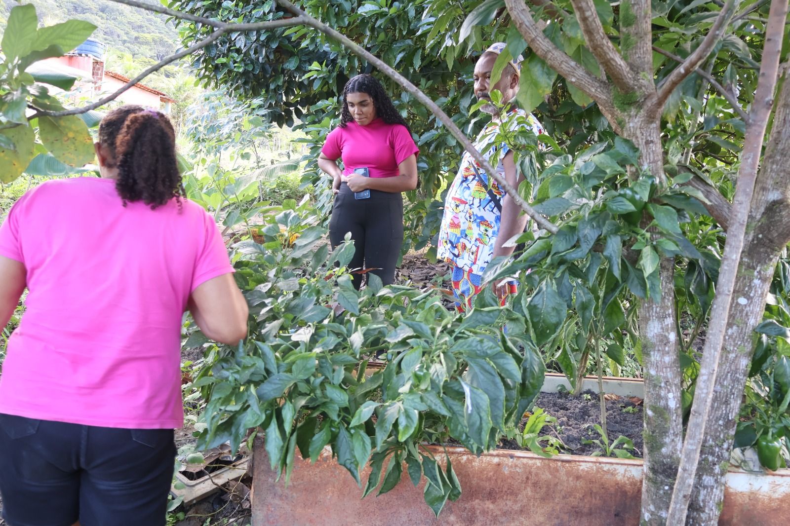 Cultivar Saberes Quilombolas — imagem 4