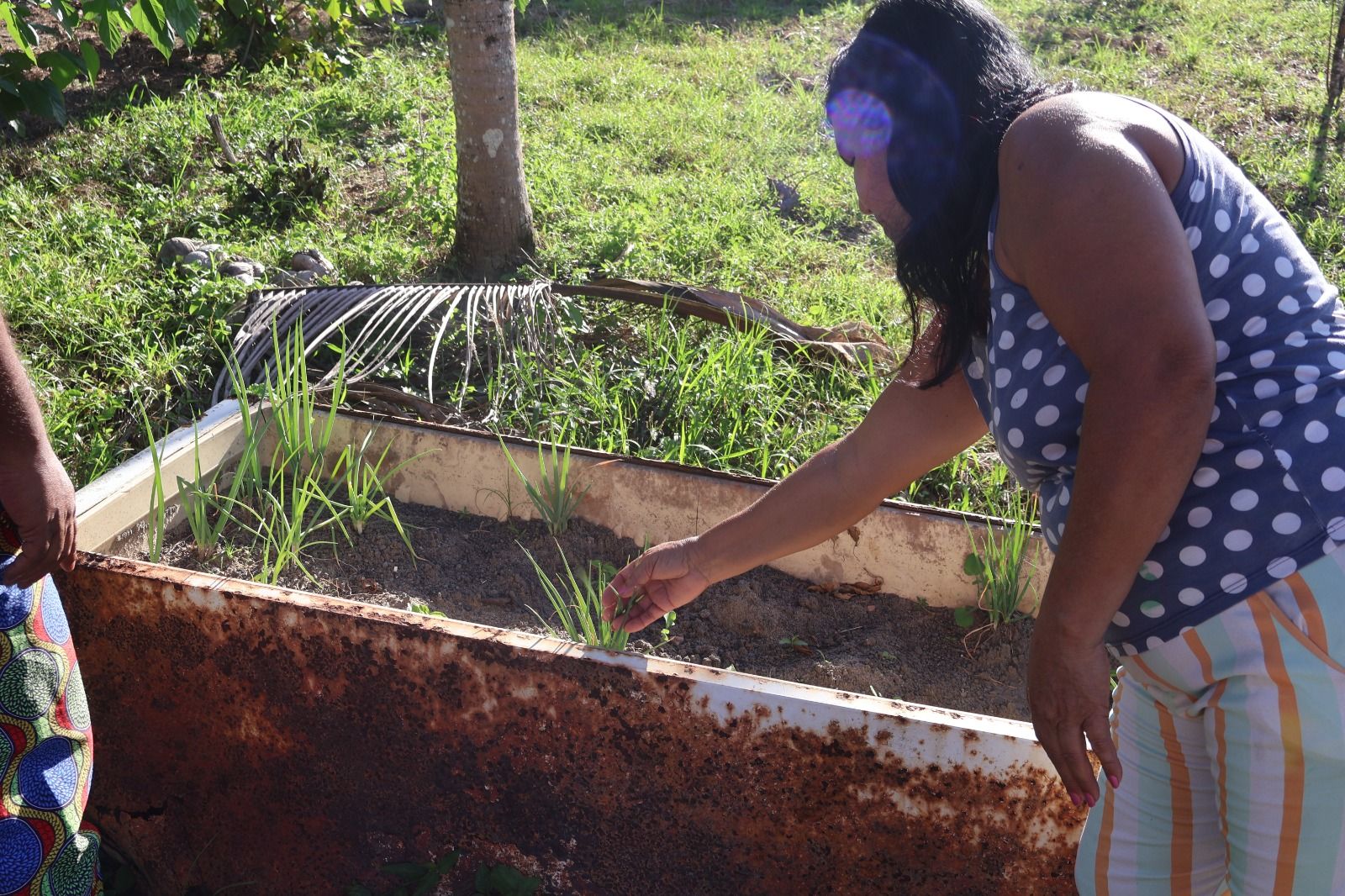 Cultivar Saberes Quilombolas — imagem 9