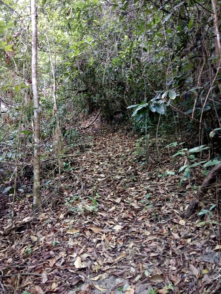 Rota dos Voduns — imagem 9