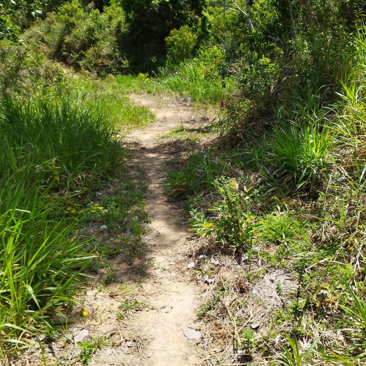 Rota dos Voduns — imagem 6