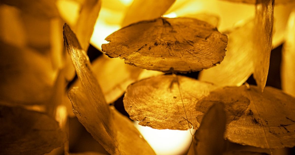 Bitcoin Surges as Gold Faces Historic Losing Streak