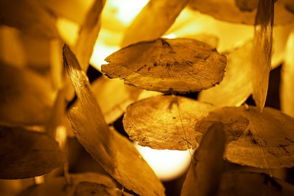 Bitcoin Surges as Gold Faces Historic Losing Streak