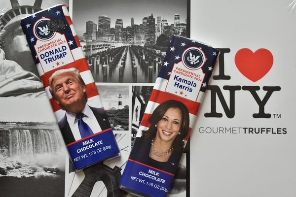 Trump's Fed Nominee Unveils Massive Investment Portfolio Ahead of Confirmation