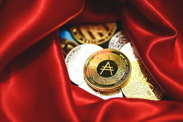 Honor's Innovative Robot Phone and Humanoid Robot Launch at MWC 2026