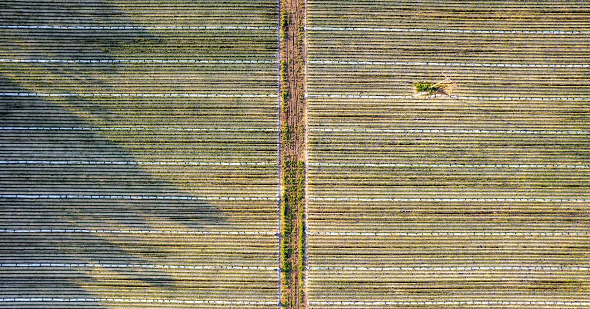 Bitkub's Ambitious IPO Plan: A Game Changer for Thailand's Crypto Landscape