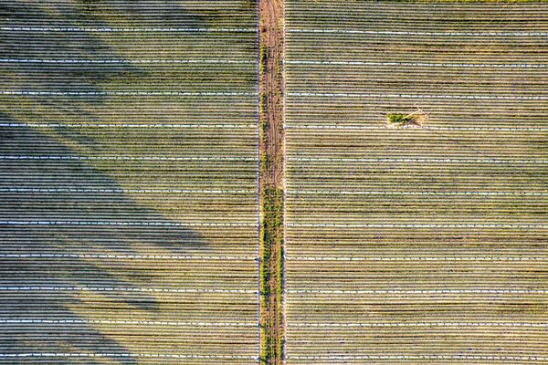 Bitkub's Ambitious IPO Plan: A Game Changer for Thailand's Crypto Landscape