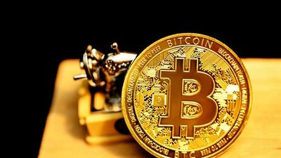 Fold Shares Skyrocket 162% After $45 Million Bitcoin Liquidation