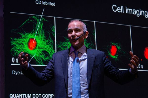 Garlinghouse Critiques Saylor's Bitcoin Strategy as Shares Tumble