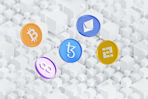 Bitcoin's Shift: From Payment Method to Digital Gold in Institutional Investment