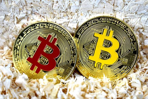 Bitcoin ETFs See $1.88B Outflows as Institutional Sentiment Shifts