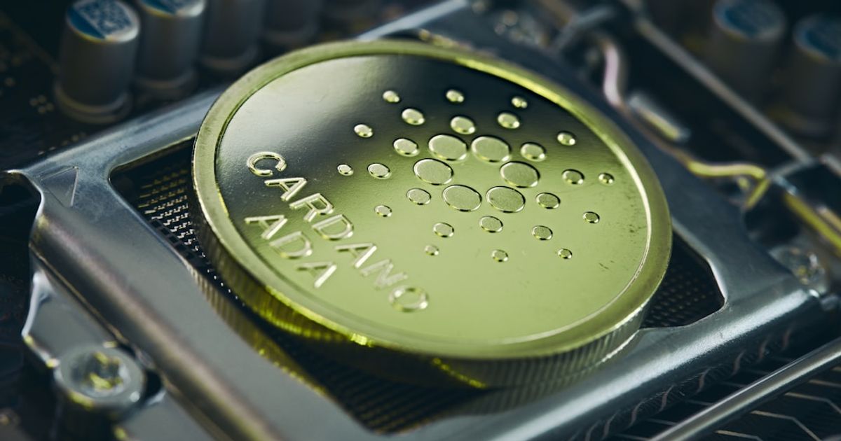 Trump's Decision on IEA Oil Reserve Release Could Impact Energy Markets