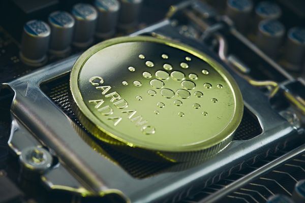 Trump's Decision on IEA Oil Reserve Release Could Impact Energy Markets