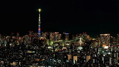 Japan's Inflation Holds Steady at 1.4% Despite Energy Concerns