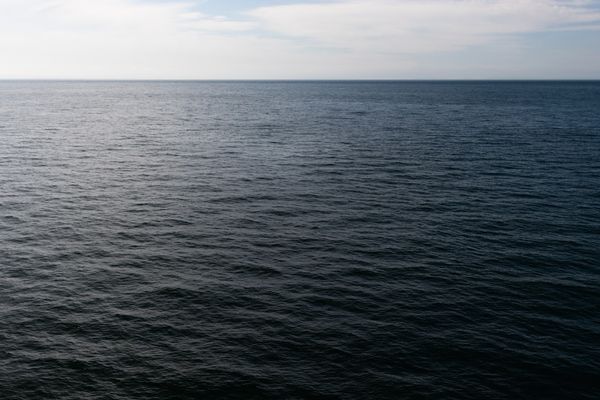 Dollar Surges as Crude Oil Prices Hit 8-Month High