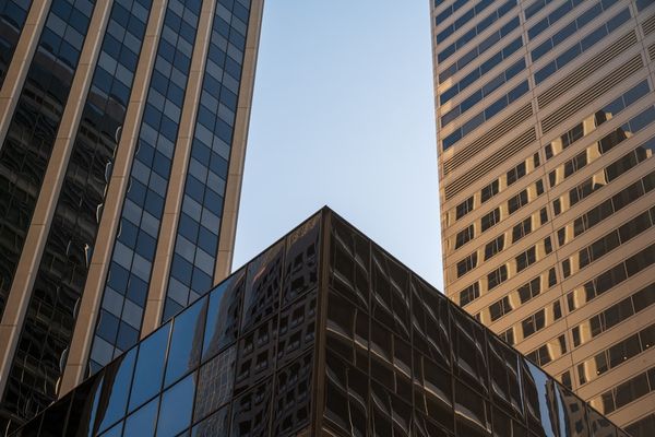 Credo Technology's Revenue Surge Signals Market Opportunity Ahead