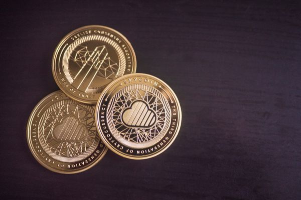 Dogecoin on the Rise? Analyst Predicts Possible Price Doubling