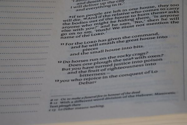 Japan's FSA Introduces New Rules for Crypto Firms: What You Need to Know