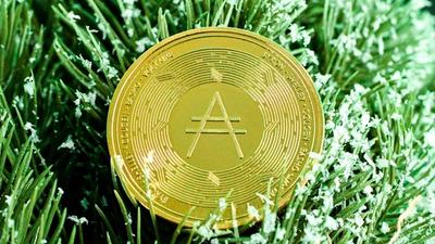 Cardano Faces $2.4M Hack — EMURGO Steps Down, Governance Tested
