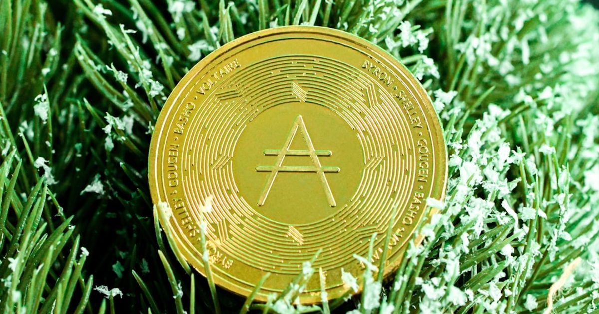 Cardano Faces $2.4M Hack — EMURGO Steps Down, Governance Tested