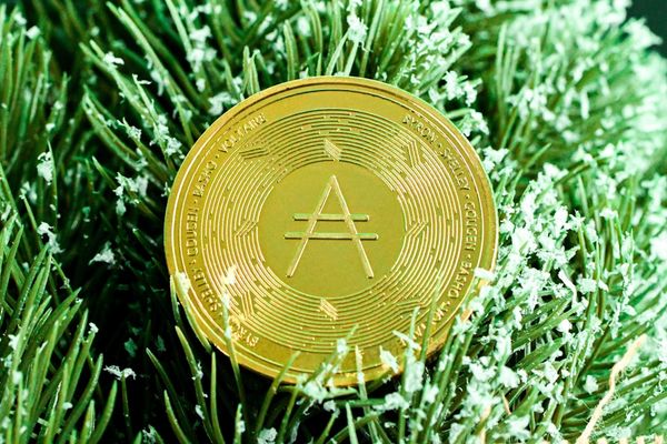Cardano Faces $2.4M Hack — EMURGO Steps Down, Governance Tested