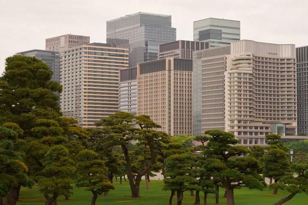 Circle Stock Soars 60% Amid USDC Growth and Regulatory Clarity