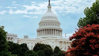 12-Year Sentence Amplified — Former Celsius CEO Banned by CFTC