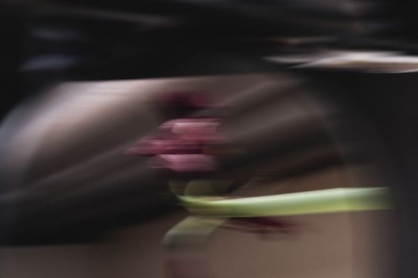 DOJ Appeals Decision Blocking Fed Subpoenas in Powell Investigation