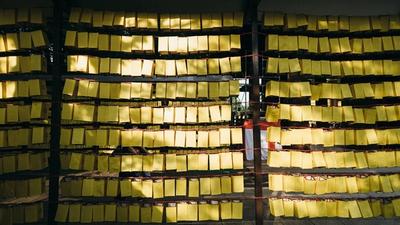 Gold Holds Steady Despite Soft Inflation Prints — Oil Shock Looms