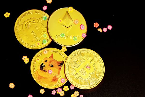 Bitfinex Whales Take Long Positions on Bitcoin: What It Means for 2026